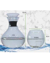 5 Piece Set Euro Style Glass Water Jug + 4 Double Wall Cups